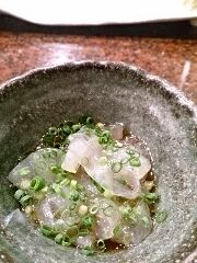 あなご稚魚