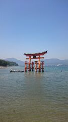 厳島神社鳥居