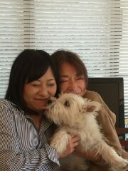 リサワン リサワン