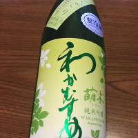 わかむすめ萌木