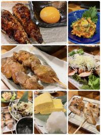 テラコ飲みお料理 テラコ飲みお料理