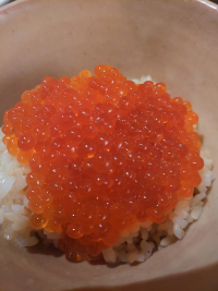 いくら丼