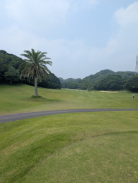勝浦ラウンド